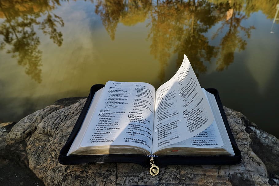 wind, book, holy bible, publication, lake, open, water, tree HD wallpaper