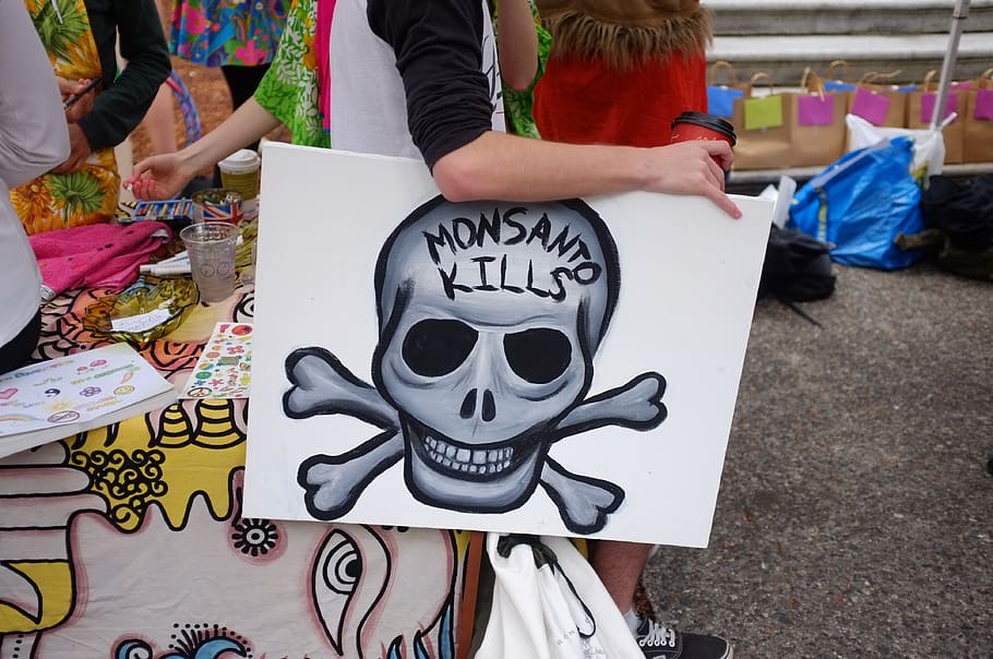 protest, march, monsanto, signage, vancouver public library, HD wallpaper