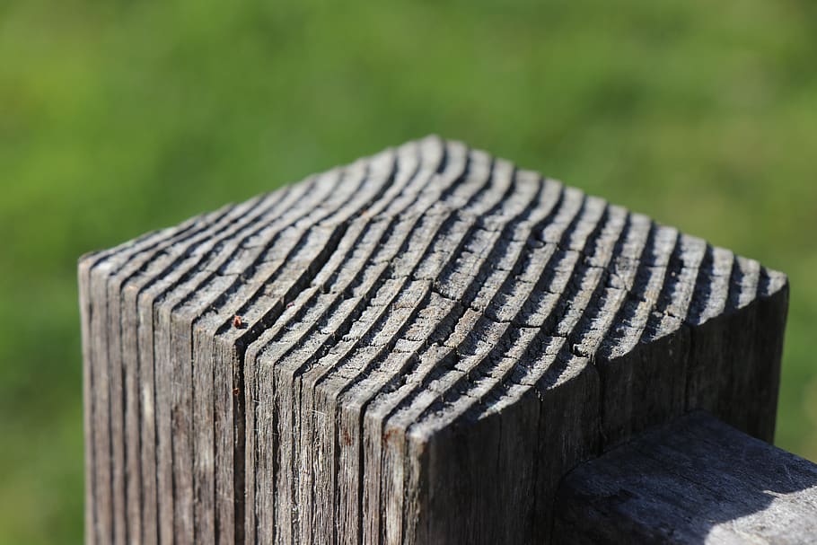 focus on foreground, wood - material, post, no people, day HD wallpaper