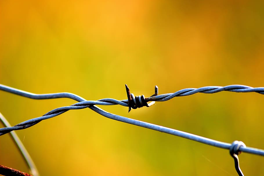 wire, fence, metal, macro, close up, barbed wire, demarcation
