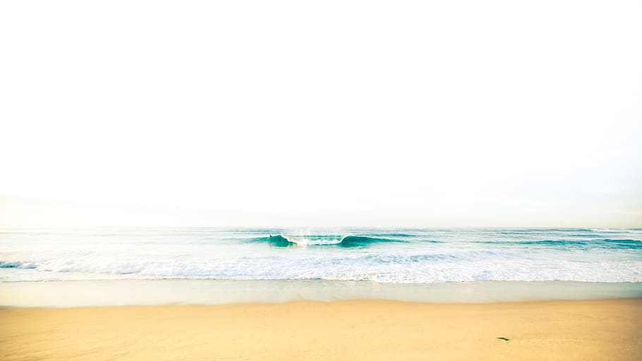 merewether, ocean, break, morning light, lone surfer, waves HD wallpaper