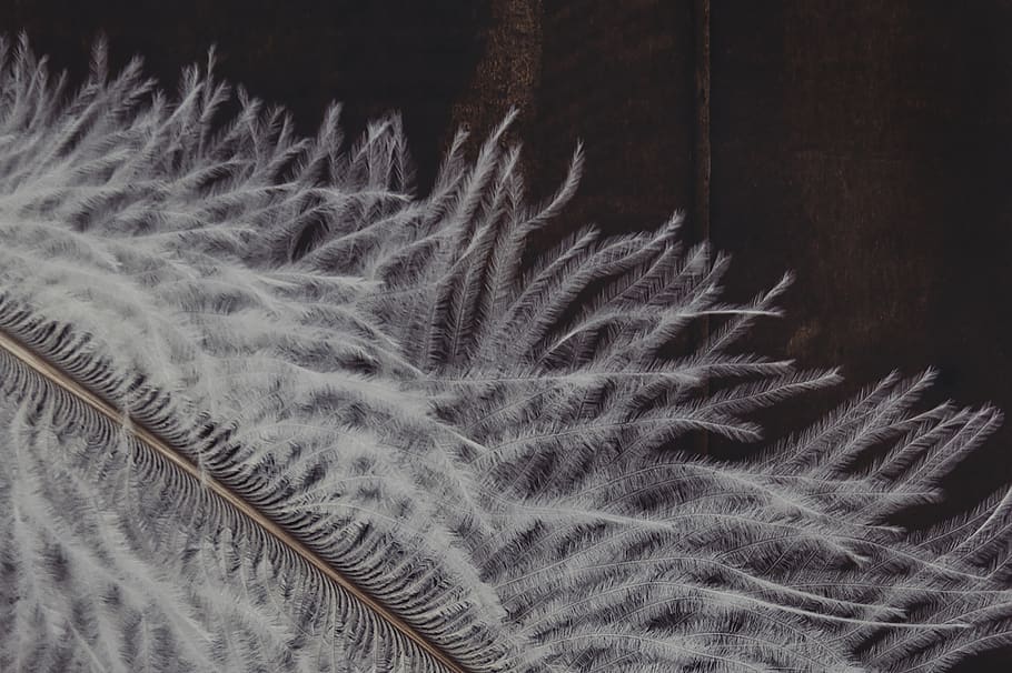 white fuzzy textile, nature, outdoors, snow, ice, frost, rug