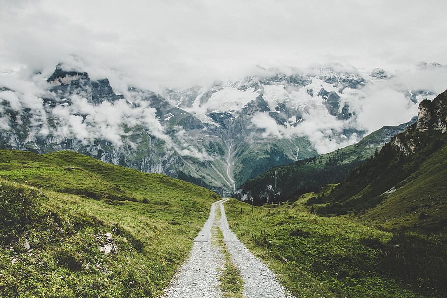 grass field pathway, tree, forest, dirt, cloud, alp, switzerland HD wallpaper