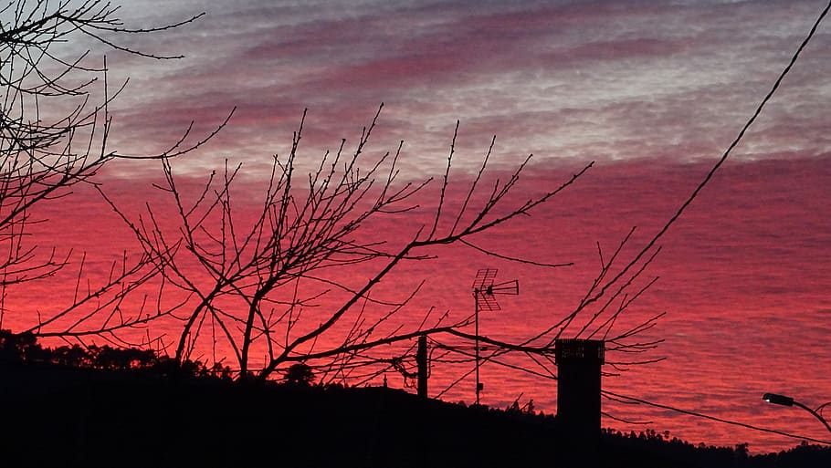 spain, merza, sky, sunset, cloud - sky, silhouette, tree, no people HD wallpaper