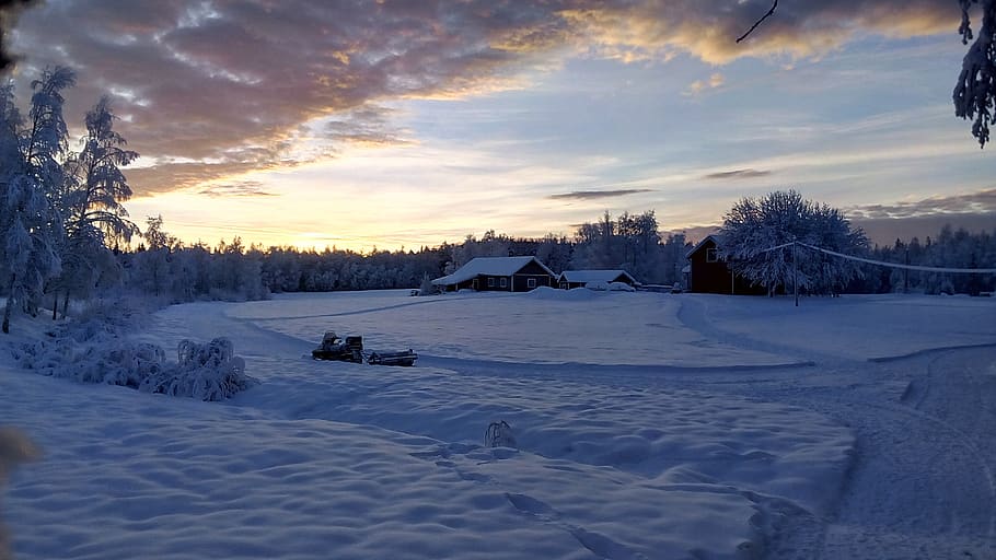 Selective Focus Photography of House Surrounding Snow and Trees HD wallpaper