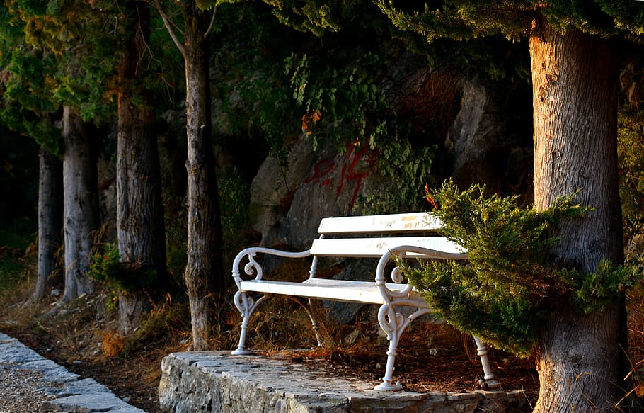 bench, arbor, arbour, seat, sidewalk, tranquil, picturesque HD wallpaper