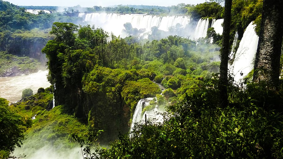 Trees Beside Waterfalls, daylight, daytime, environment, flow HD wallpaper