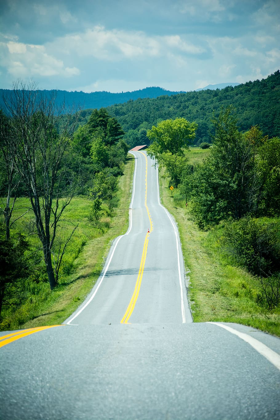 road, horizon, plant, transportation, tree, the way forward HD wallpaper