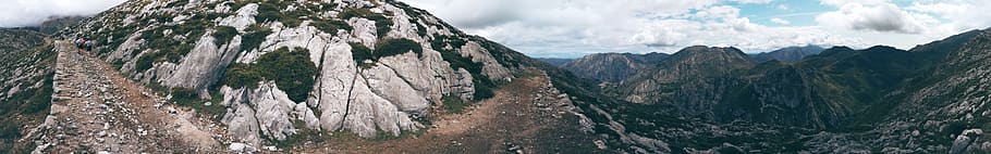 tree, mountain, trail, hiking, panoramic, sky, landscape, environment HD wallpaper