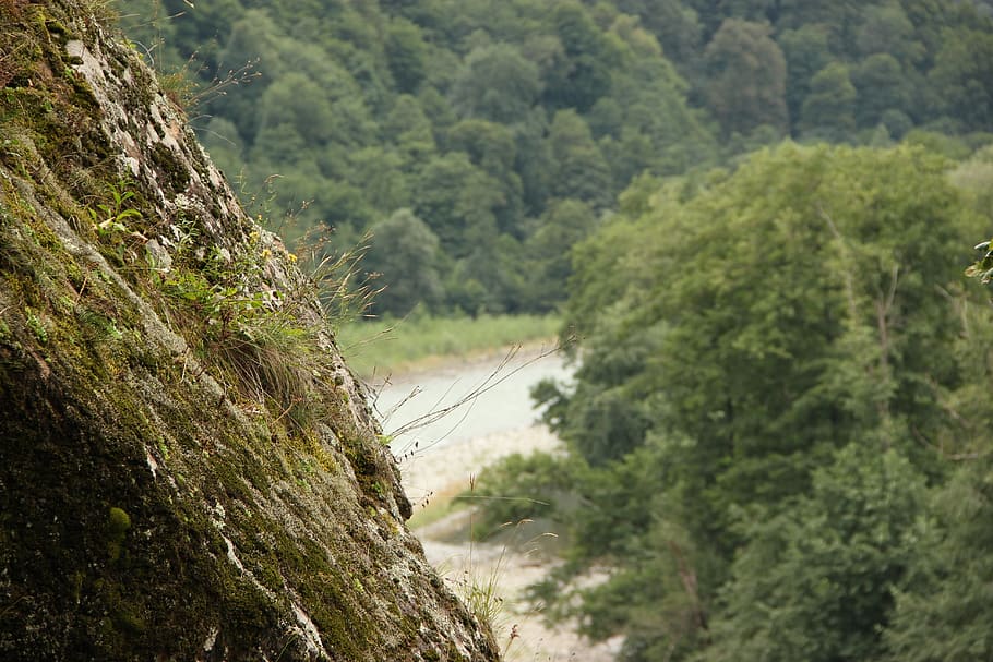 mountains, river, nature, plant, tree, green color, day, land HD wallpaper