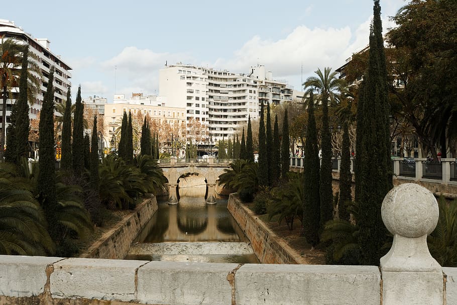 spain, palma, bridge, buildings, majorca, reflection, palm trees, HD wallpaper