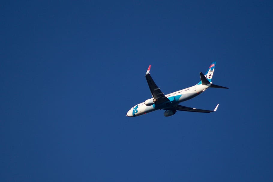 plane, airplane, sky, up, fly, dog, realwinter, jet, flying HD wallpaper