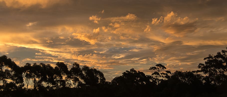 sunset, sky, orange, grey, clouds, horizon, trees, australia HD wallpaper