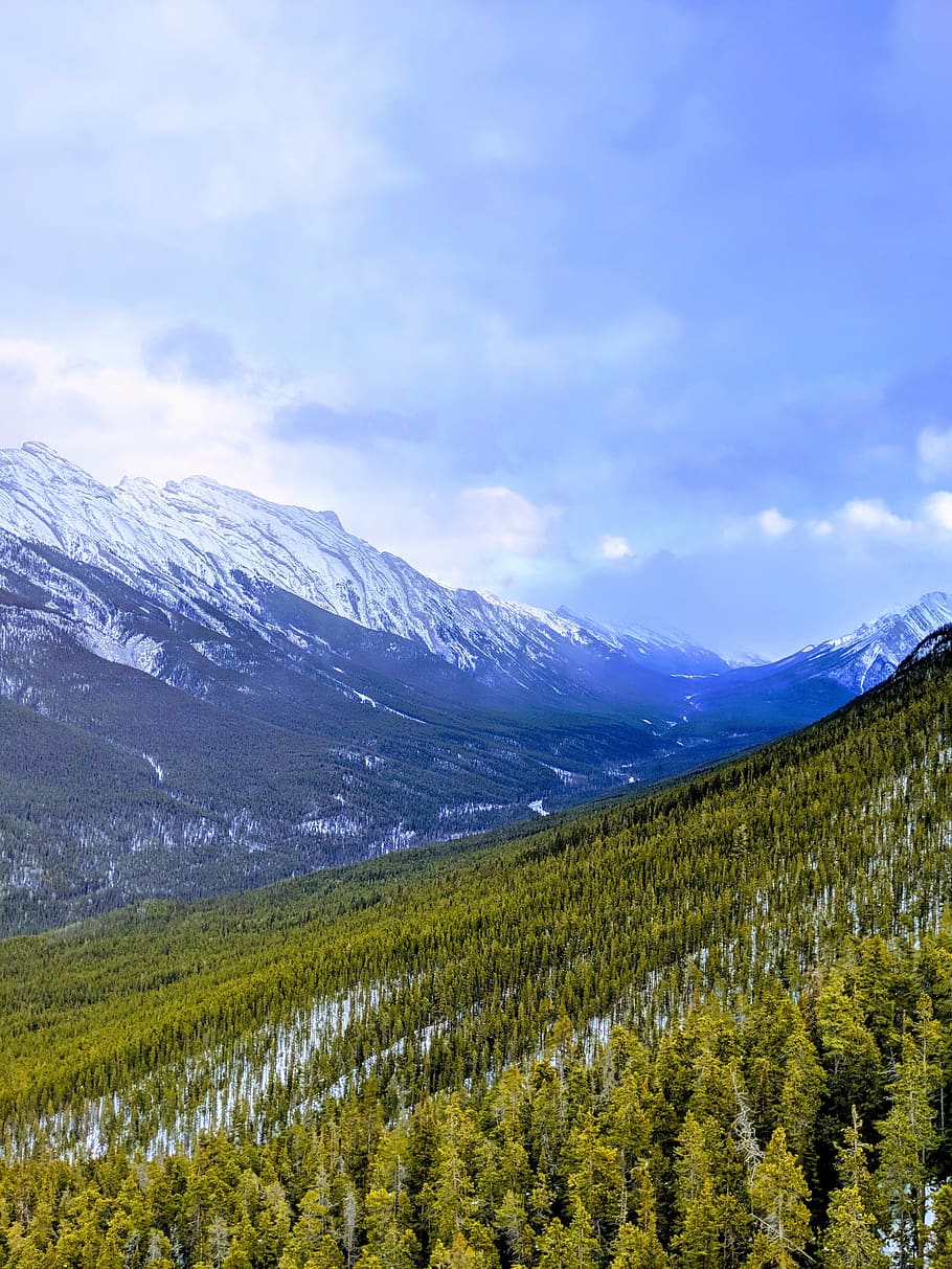 forest, mountains, nature, snow, trees, landscape, sky, cozy HD wallpaper