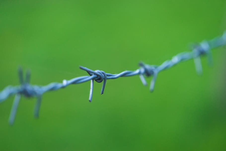 gray barbed wire, fence, safety, security, barrier, protection HD wallpaper