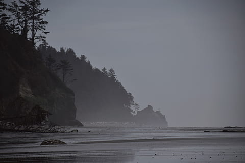 united states, ruby beach, america, travel, nature, natural HD wallpaper