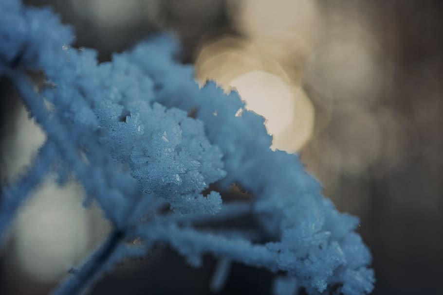 cold, winter, frost, ice, frozen, wintry, eiskristalle, icy, HD wallpaper