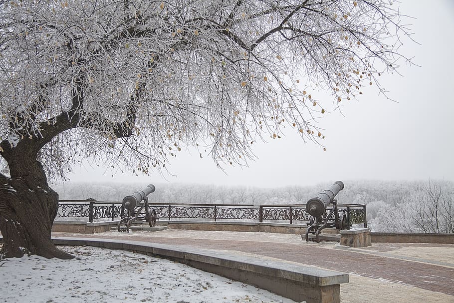 park, winter, cannon, tree, snowy, cold, landscape, trees, the picturesque HD wallpaper