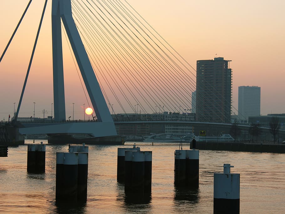 rotterdam, netherlands, bridge, fireball, red, sunset, port HD wallpaper