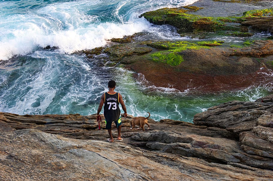 brazil, praia do arpoador, rock, dog, musk, water, sunset, ocean, HD wallpaper