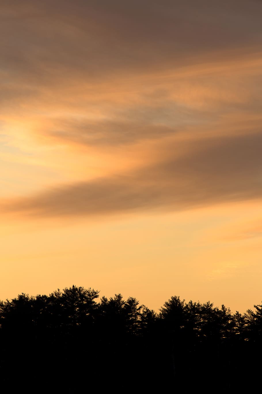 Sky During Sunset, backlit, clouds, dawn, daylight, nature, scenic HD wallpaper