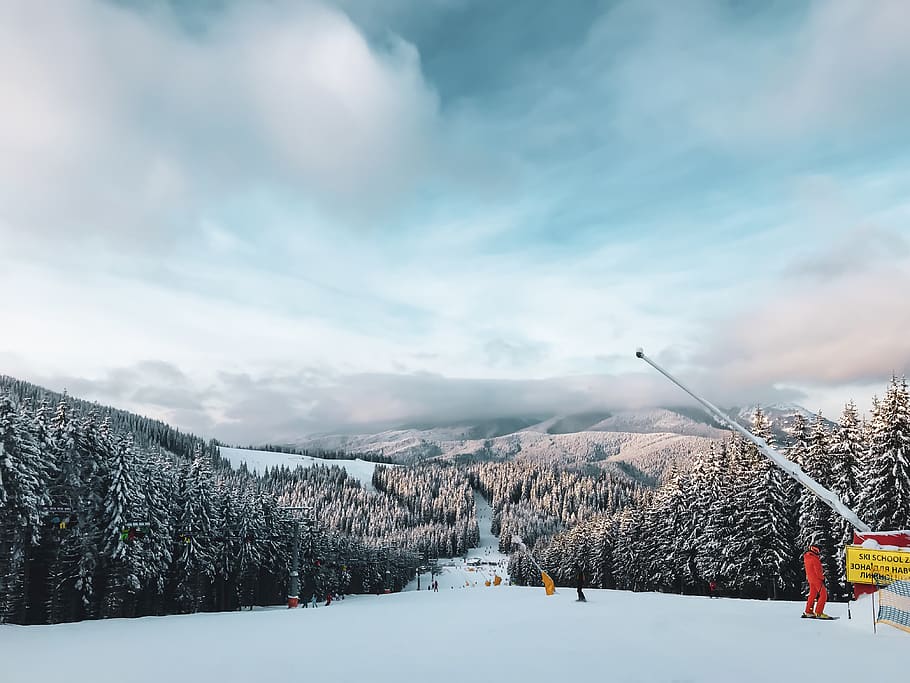 snow covered ground, tree, plant, fir, abies, nature, outdoors HD wallpaper