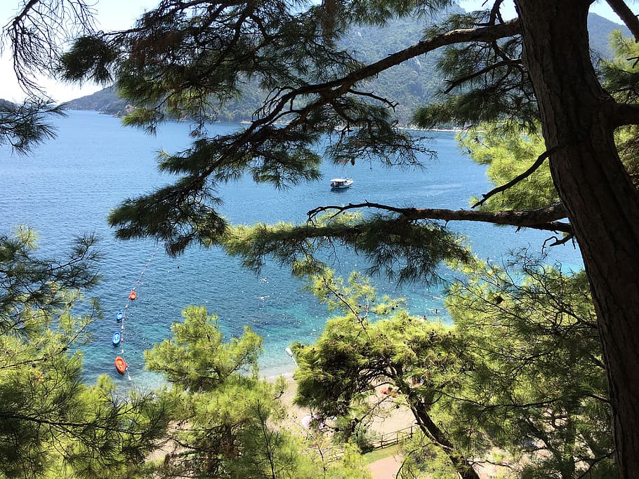 turkey, icmeler, nature, tree, holiday, view, sea, plant, growth HD wallpaper