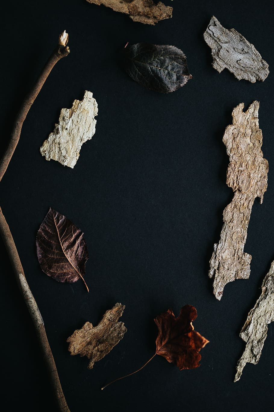 dried leaves on brown surface, dry, leaf, plant part, no people HD wallpaper