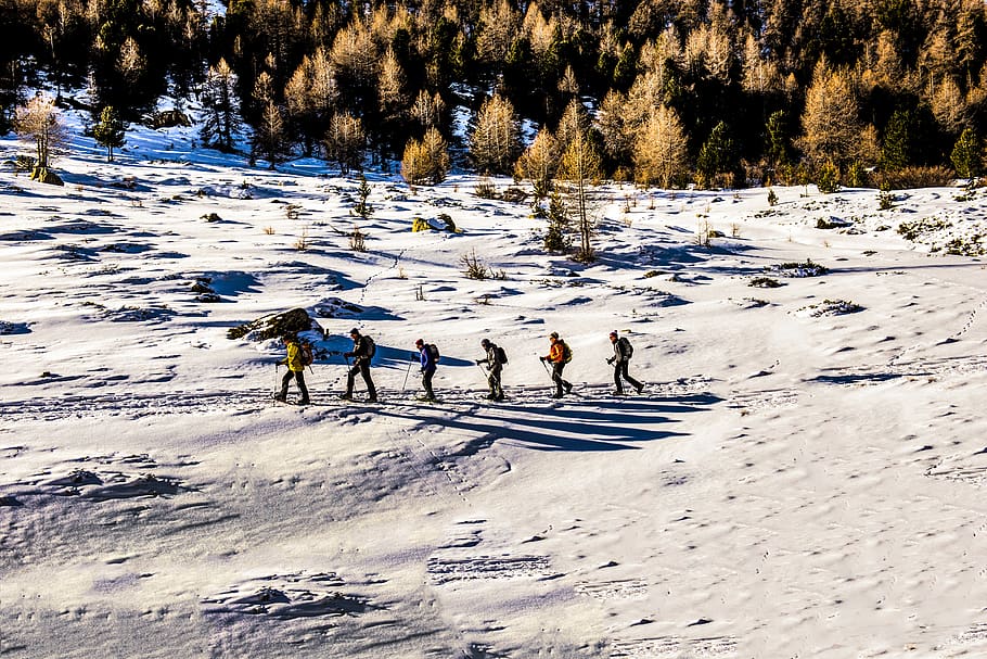People Walking on Snow, cold, daylight, daytime, frost, frosty HD wallpaper