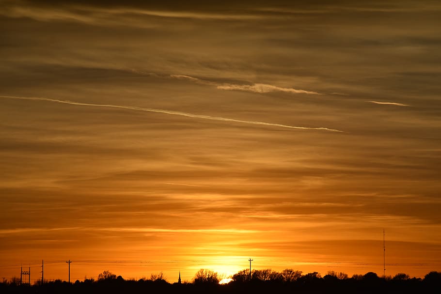 Silhouette Photo of Trees during Golden Hour, backlit, clouds HD wallpaper