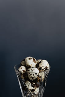 Quail eggs, food, easter, studio shot, indoors, copy space, still life HD wallpaper