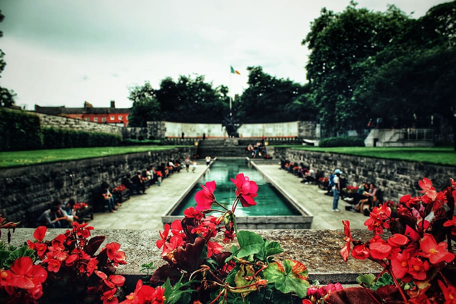 Garden of Remembrance, Dublin, Ireland, Irish flag, park, flowers, HD wallpaper