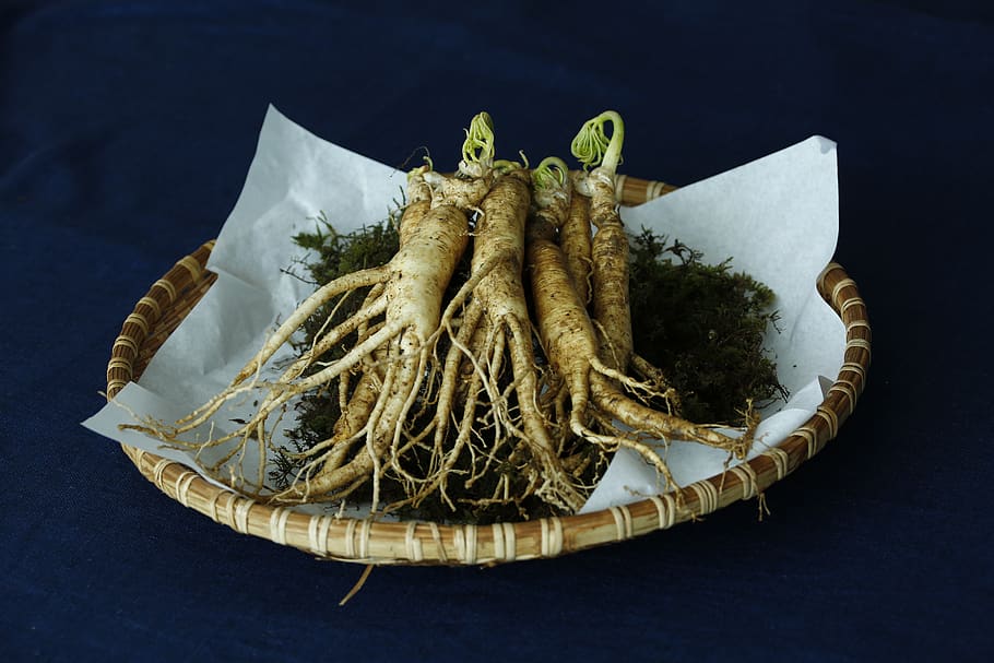 ginseng, food and drink, freshness, seafood, indoors, close-up HD wallpaper