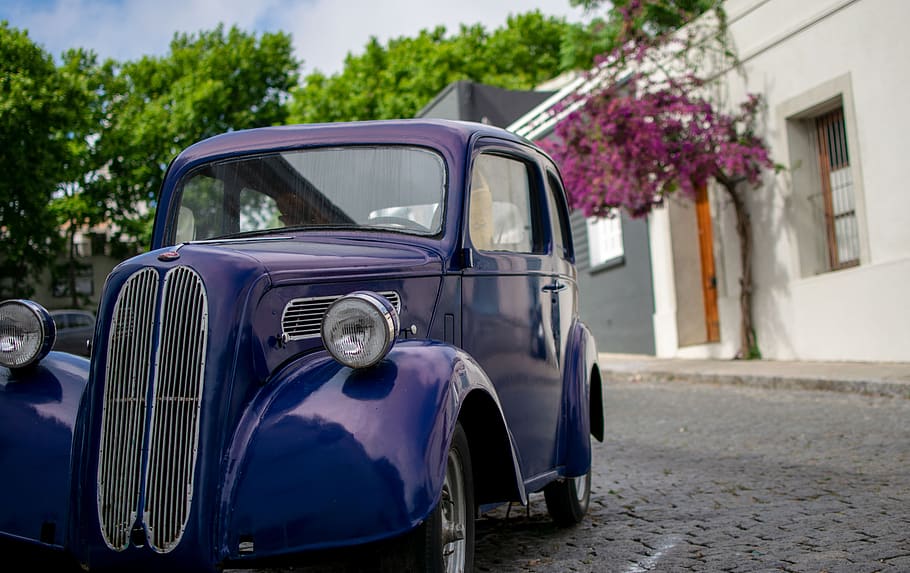 oldtimer, purple, violet, old car, road, colonia, uruguay, mode of transportation HD wallpaper