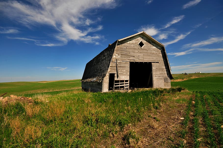 canada, alberta, field, land, built structure, landscape, cloud - sky HD wallpaper