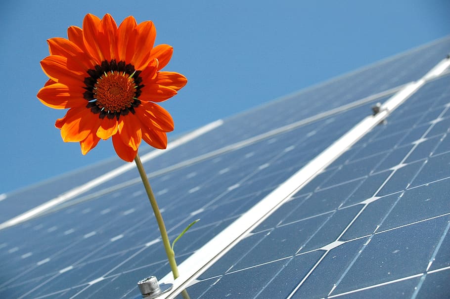 solar, photovoltaic, renewable, solar energy, solar cells, power generation, HD wallpaper