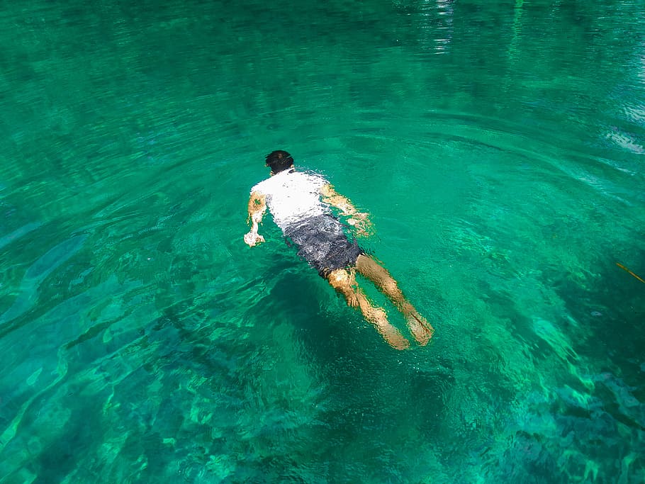Photo of Man Swimming On Clear Water, enjoyment, leisure, recreation, HD wa...