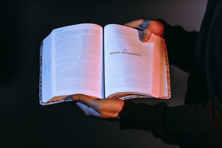 Person Holding A Bible, new testament, old testament, page, human hand, HD wallpaper