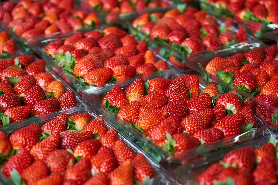 Close-Up Photo of Strawberries on Plastic Container, 4k wallpaper, HD wallpaper