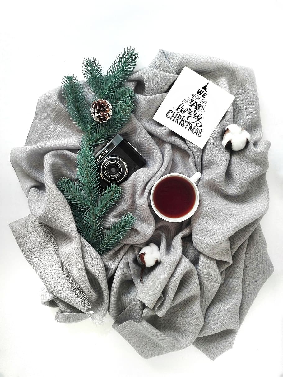christmas, spruce, tea, camera, potion, headband, new year HD wallpaper