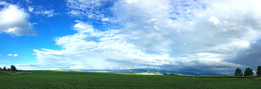Green Grass Field and Trees, blue, blue sky, bright, clouds, day HD wallpaper