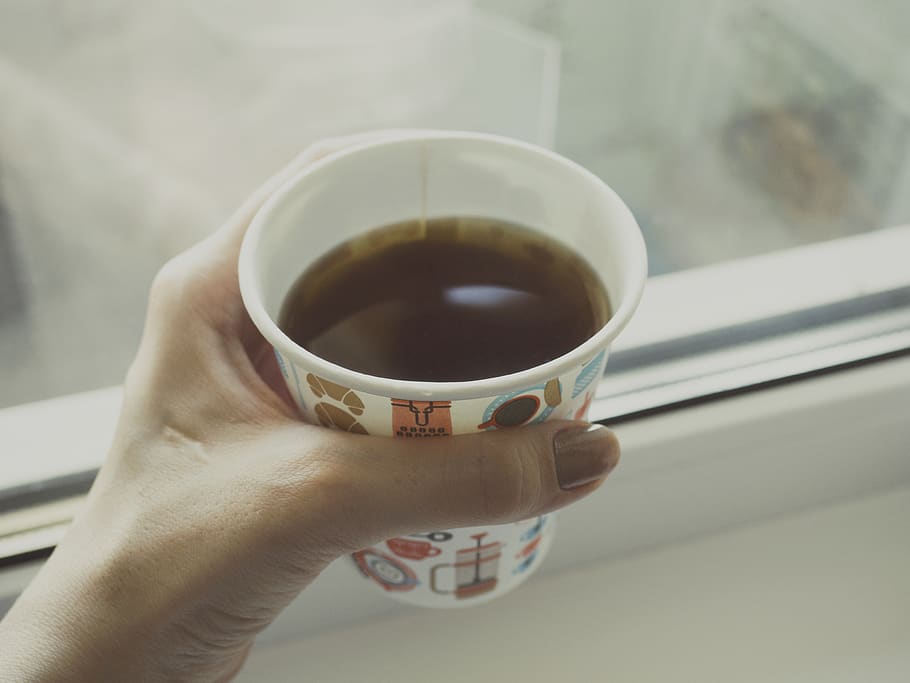 coffee, cup, drink, hot, hand, holding hand, morning, window HD wallpaper