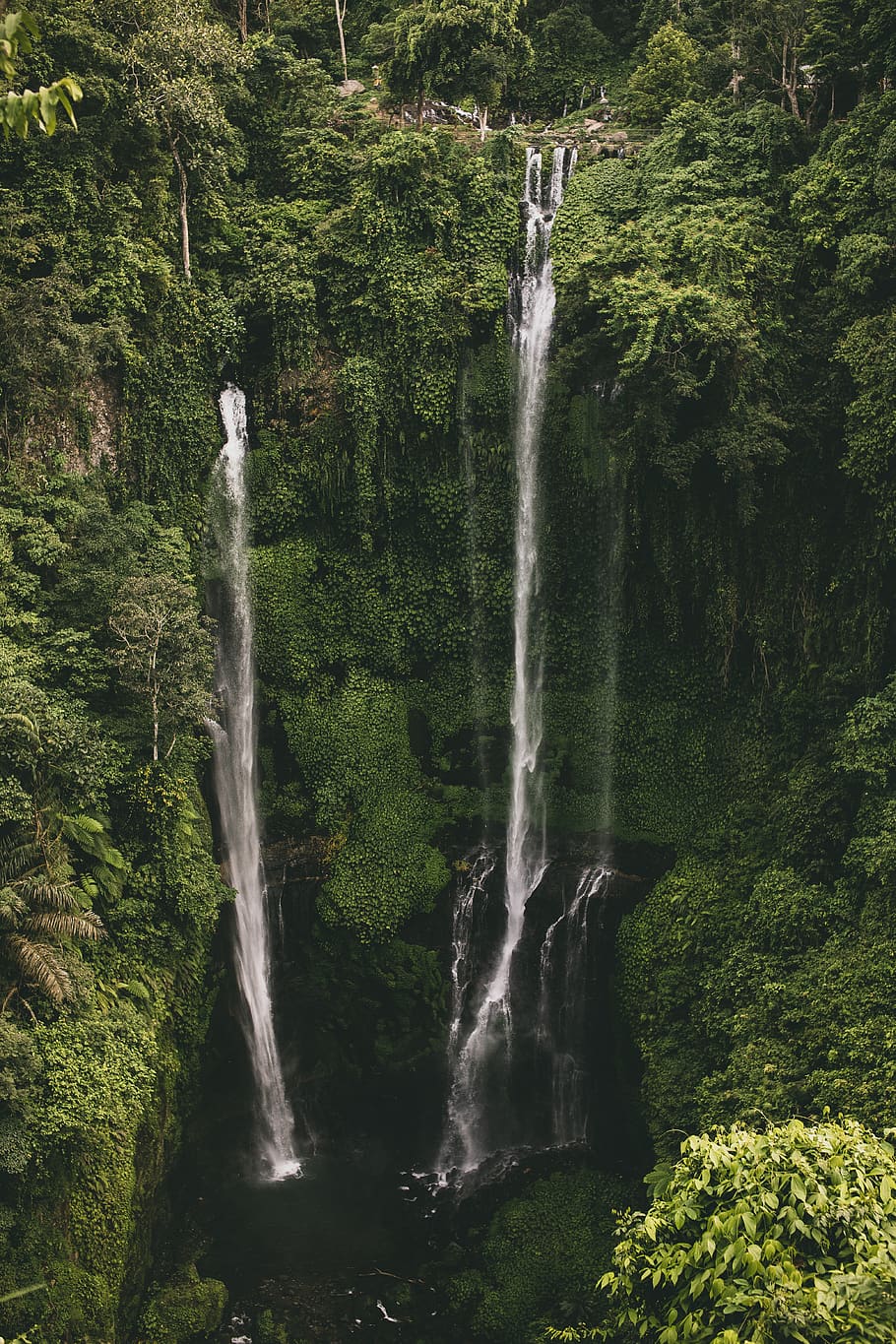 cascading waterfalls, tree, plant, forest, beauty in nature, long exposure HD wallpaper