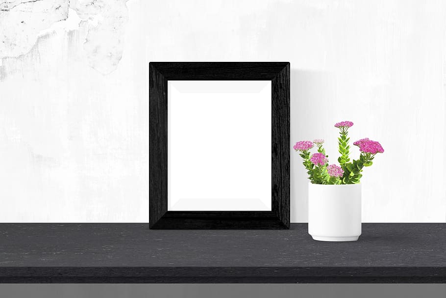 poster, frame, desk, plant, flower, flowering plant, vase, copy space HD wallpaper