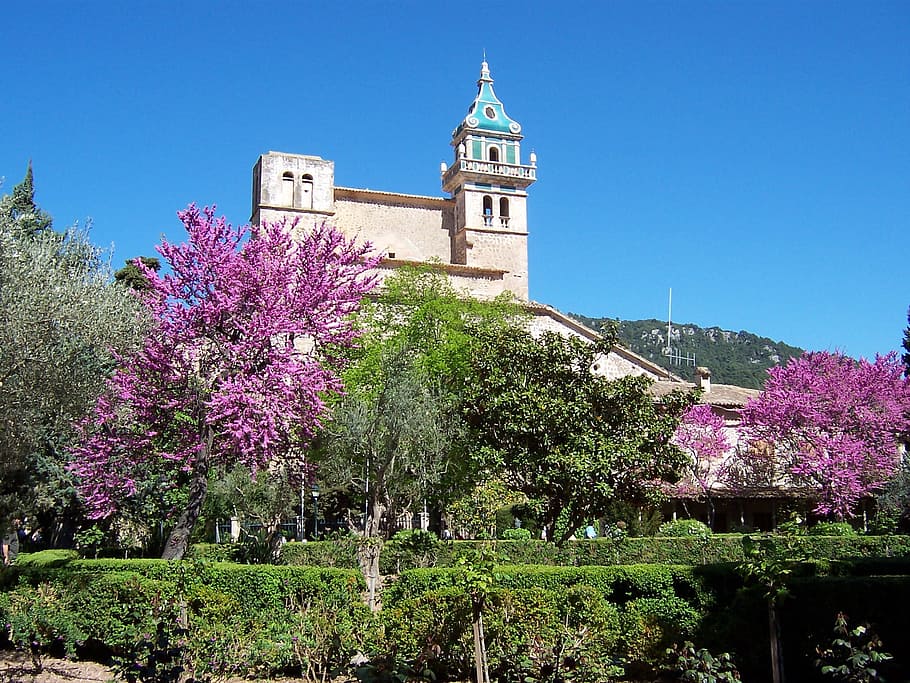 chruch, construction, architecture, building, peace, plant HD wallpaper