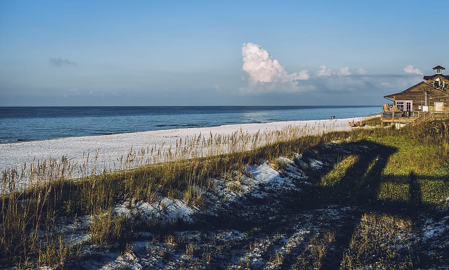 Brown House Near Seashore and Grasses, beach, blue, clouds, daylight HD wallpaper
