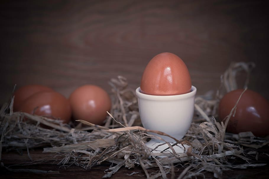 egg, cup, food, life, birth, shelter, cover, food and drink HD wallpaper