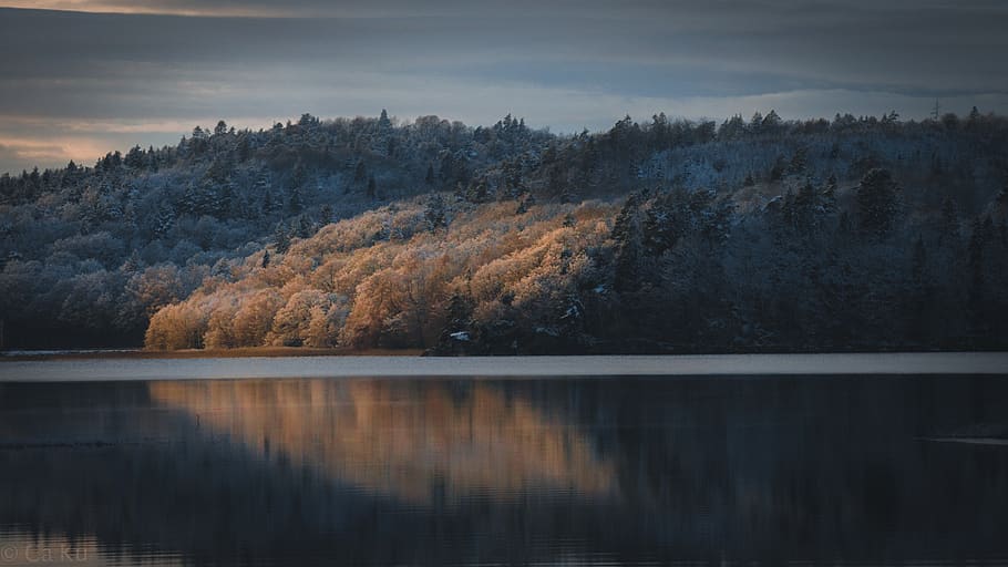lake beside trees, sunrise, sunset, nature, sky, dawn, dusk, outdoors HD wallpaper