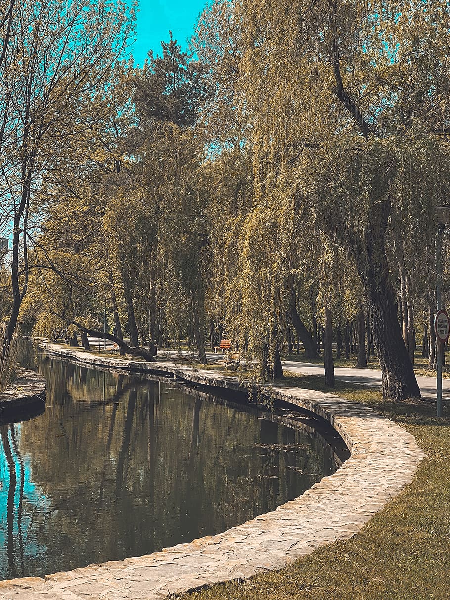 plant, tree, path, outdoors, water, canal, art, painting, building HD wallpaper