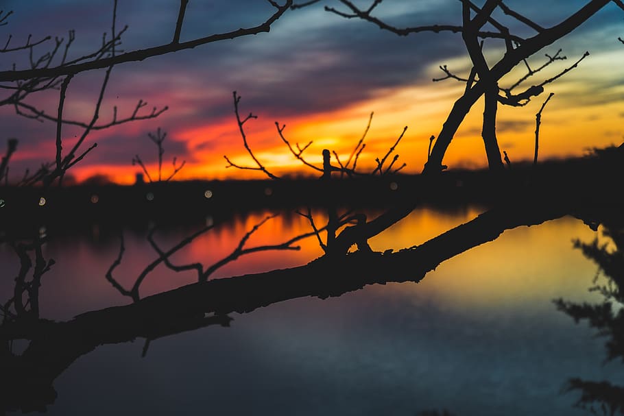 sun, sunset, sunrise, red, orange, yellow, blue, purple, pink HD wallpaper
